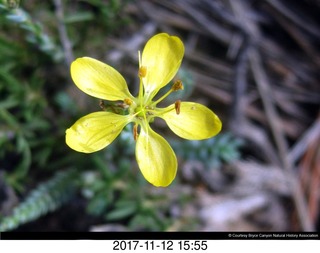 pictures from bryce-canyon sd-card