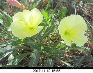 pictures from bryce-canyon sd-card - chipmonk