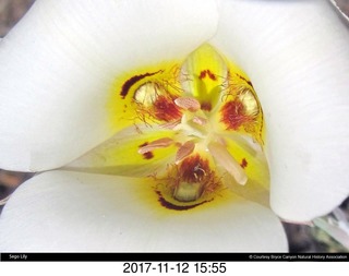 pictures from bryce-canyon sd-card