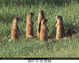 pictures from bryce-canyon sd-card  - turkey