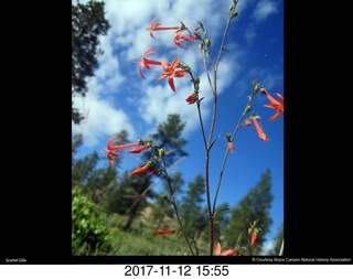 pictures from bryce-canyon sd-card