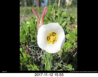 pictures from bryce-canyon sd-card