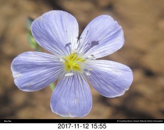 pictures from bryce-canyon sd-card