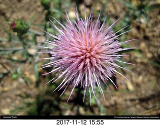 pictures from bryce-canyon sd-card