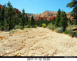 pictures from bryce-canyon sd-card