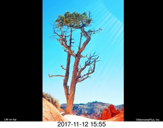 pictures from bryce-canyon sd-card