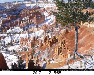 pictures from bryce-canyon sd-card