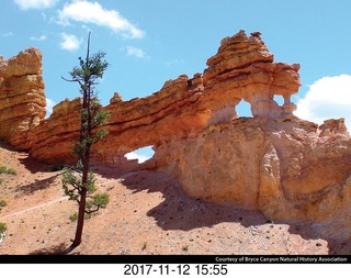 pictures from bryce-canyon sd-card - old