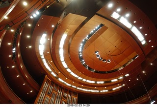 Philadelphia Orchestra musicians playing Bartok string quartet