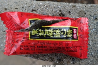 Princeton Alumni Day - strange candy bar wrapper
