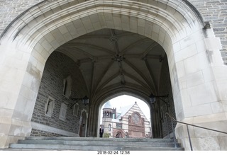 Princeton Alumni Day - black squirrel