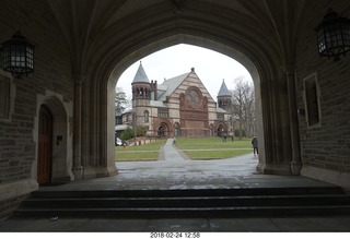 Princeton Alumni Day - squirrel