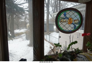 Birds and Hirota get-together - snow outside