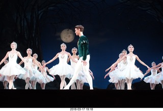 Academy of Music - Swan Lake ballet