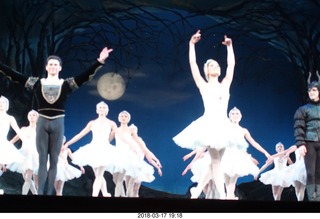 Academy of Music - Swan Lake ballet - flower swan