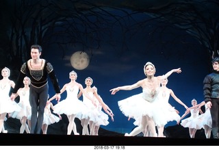 Academy of Music - Swan Lake ballet