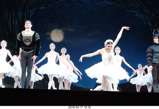 Academy of Music - Swan Lake ballet