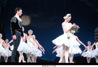 Academy of Music - Swan Lake ballet