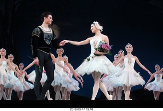 Academy of Music - Swan Lake ballet