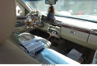 amazing paper mache car interior