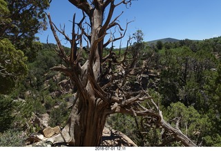 37 a03. Black Canyon of the Gunnison National Park hike
