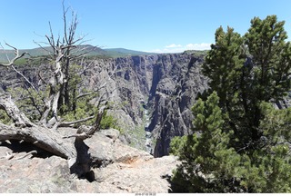 85 a03. Karen's picture - Black Canyon of the Gunnison