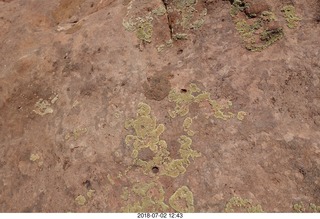 112 a03. Colorado National Monument - lichens