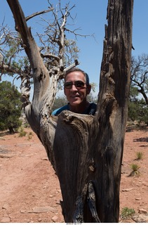 172 a03. Karen's picture - Shaun in a tree