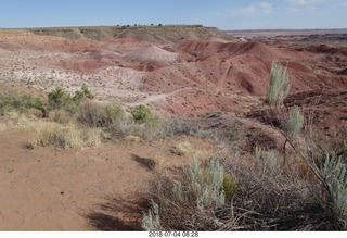 Petrified Forest National Park - Painted Desert vista view