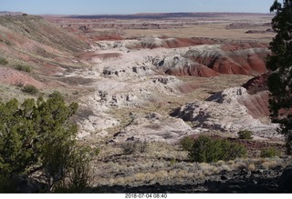 Petrified Forest National Park - Painted Desert vista view