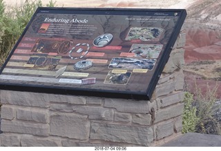 41 a03. Petrified Forest National Park sign - lizard