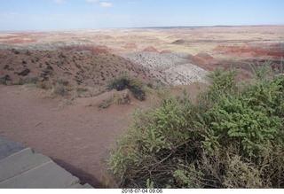 Petrified Forest National Park - Painted Desert vista view