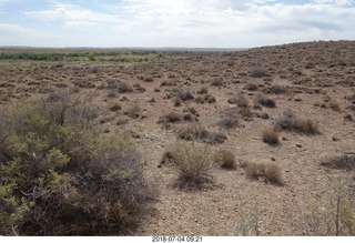 Petrified Forest National Park