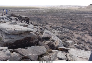 Petrified Forest National Park