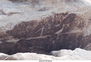 Petrified Forest National Park - hungry raven