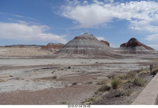 Petrified Forest National Park - hungry ravens