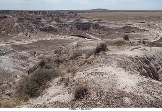 Petrified Forest National Park - blue mesa area