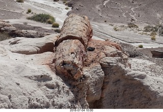 Petrified Forest National Park sign