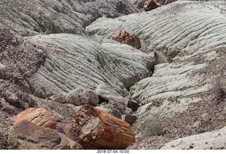 Petrified Forest National Park - petrified log