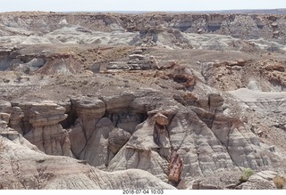 Petrified Forest National Park - my first petrified tree