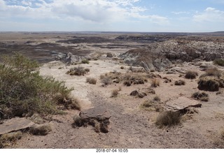 Petrified Forest National Park - Blue Mesa