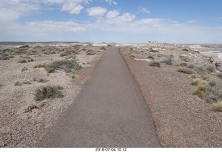 Petrified Forest National Park - Blue Mesa hike