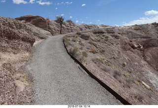 130 a03. Petrified Forest National Park - Blue Mesa hike