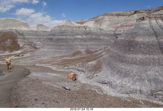 Petrified Forest National Park - Blue Mesa hike + petrified logs