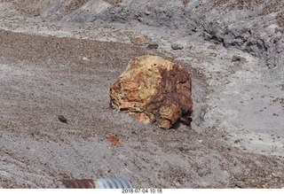 Petrified Forest National Park - Blue Mesa hike