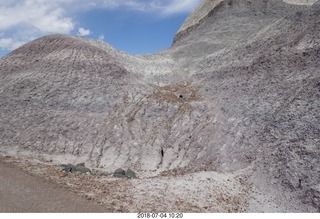 Petrified Forest National Park - Blue Mesa hike