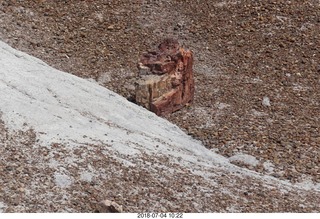 Petrified Forest National Park - Blue Mesa hike + petrified logs