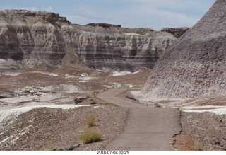 Petrified Forest National Park - Blue Mesa hike