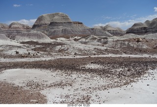 Petrified Forest National Park - Blue Mesa hike + log