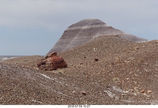 Petrified Forest National Park - Blue Mesa hike + log